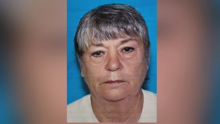 Leon County authorities searching for missing woman