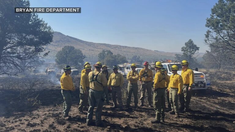 Bryan firefighters travel to help fight several wildfires across the state