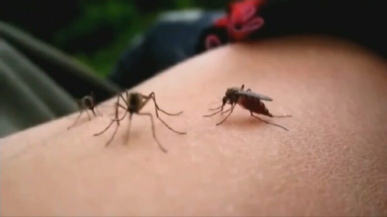 First case of West Nile virus confirmed in Montgomery County