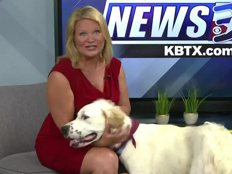 Aggieland Humane Society Pet of the Week: Chatahoochee