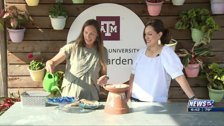 Weekend Gardener: Pollinator watering stations