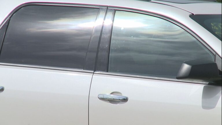 Focus at Four: Preventing hot car deaths in children