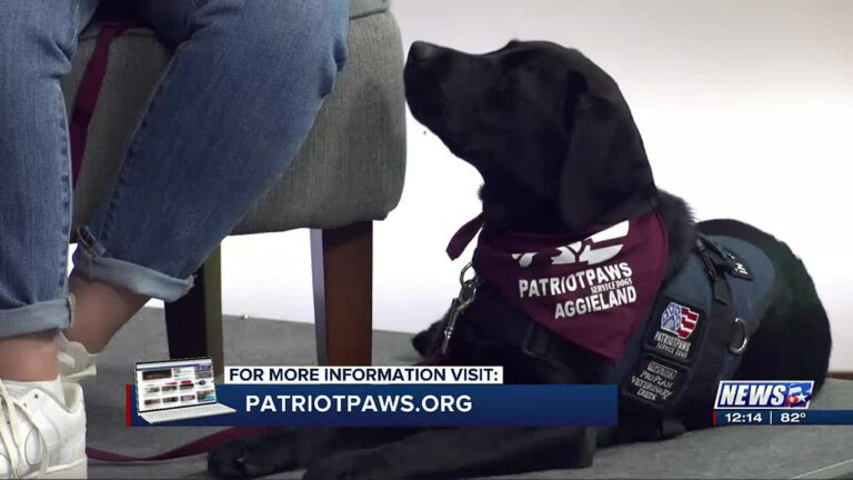 Patriot Paws of Aggieland works to make life easier for veterans