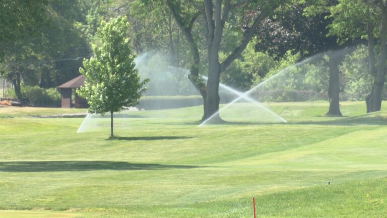 Conservation techniques to save water and money