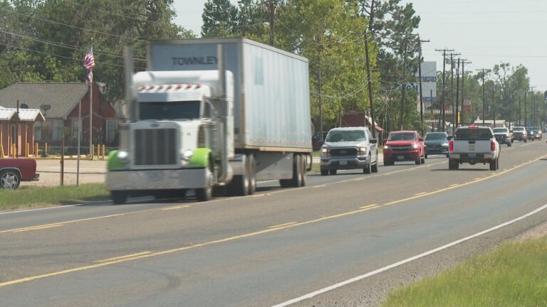 Community divided on proposed highway 79 widening project in Leon County