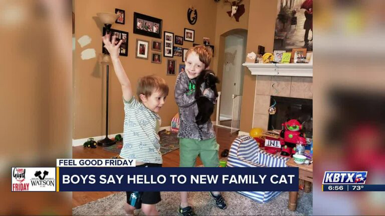 Boys say hello to new family cat