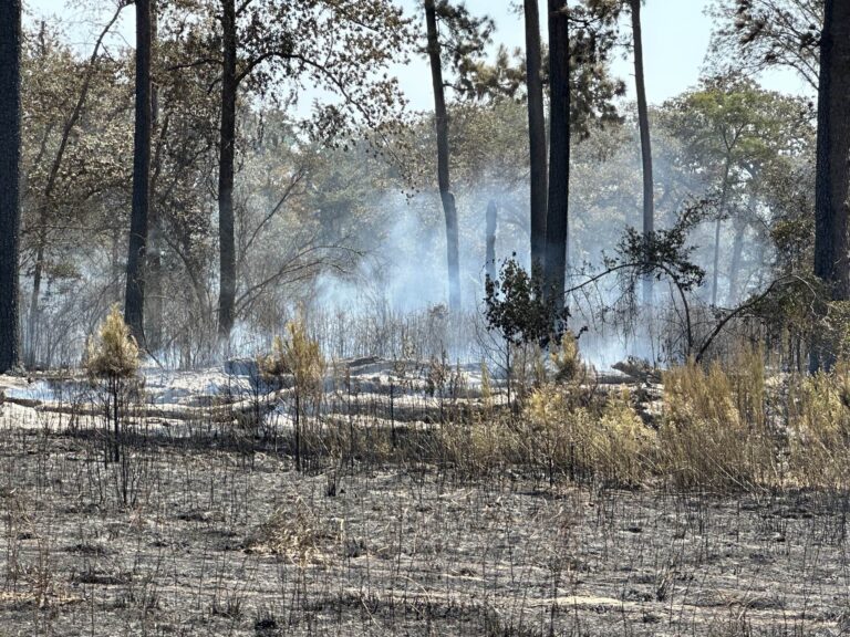 Grass fire sparked by 18-wheeler on Highway 7 in Leon County now 100% contained