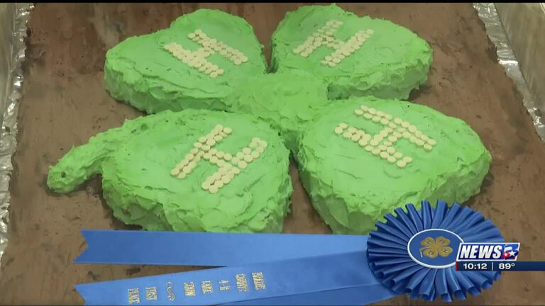 Brazos County 4-H prepares for annual cake show and auction