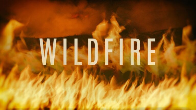 Texas A&M Forest Service, local agencies respond to wildfire in Walker County