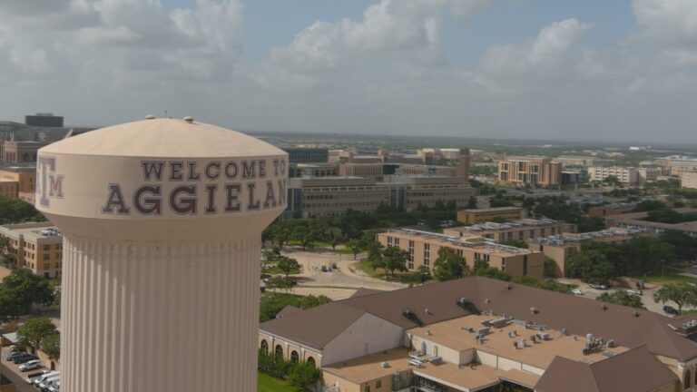 A&M Faculty Senate Executive Committe meets with interim president to discuss road ahead