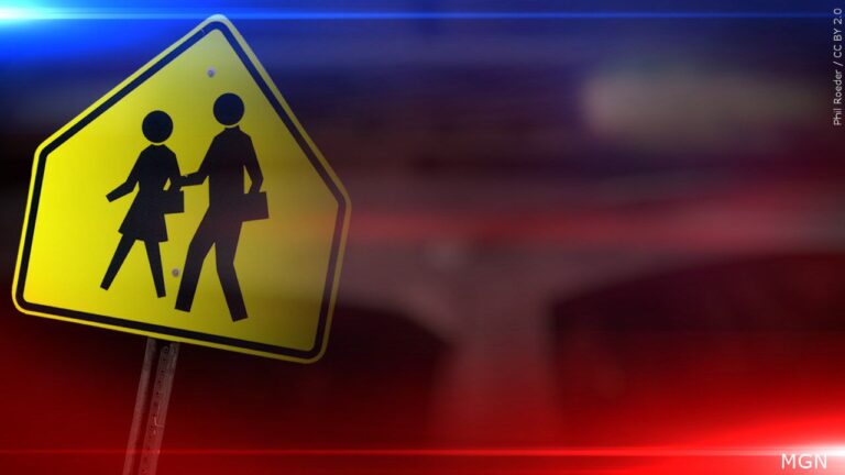 School officials: Student found with airsoft gun at Davila Middle School