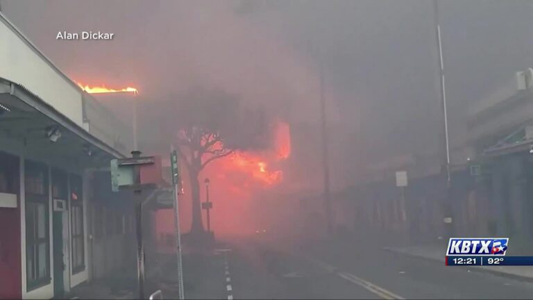 Your Produce Man discusses Maui wildfires’ impact on Hawaiian produce