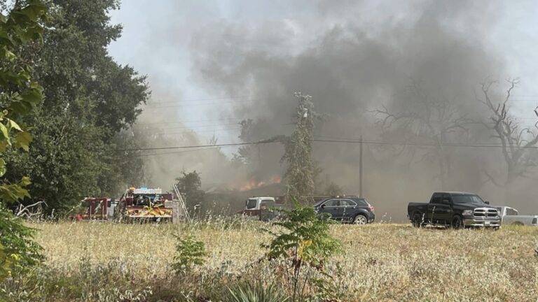 State firefighters battle two fires in Leon County Tuesday