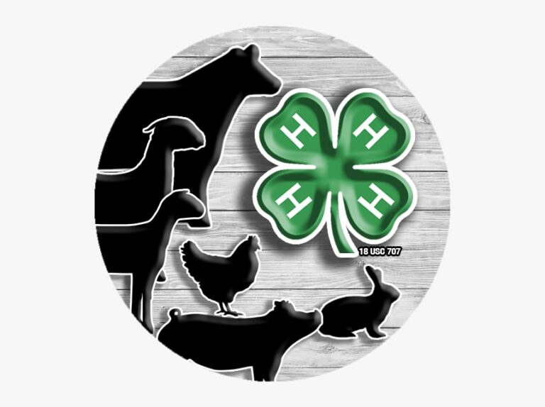 Brazos County 4-H to host club fair event