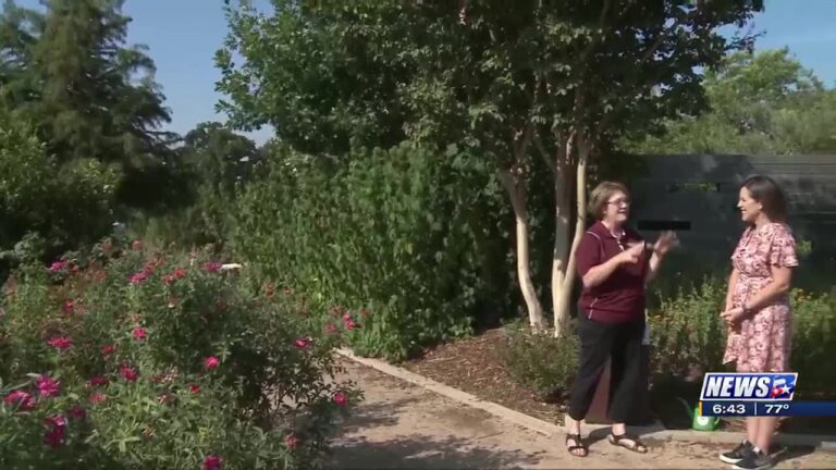 Weekend Gardener: Garden features to provide birds with food and shelter