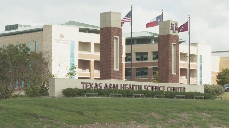 Texas A&M, Lurie Children’s Hospital awarded $7.4 million grant to boost adolescent health