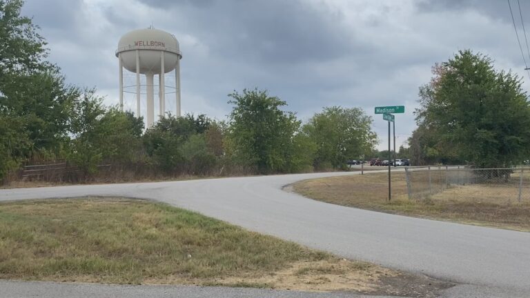 Wellborn District Plan includes ideas for walkable, downtown area