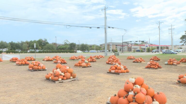 Faith in Action Pumpkin patch proceeds will go towards Habitat for Humanity