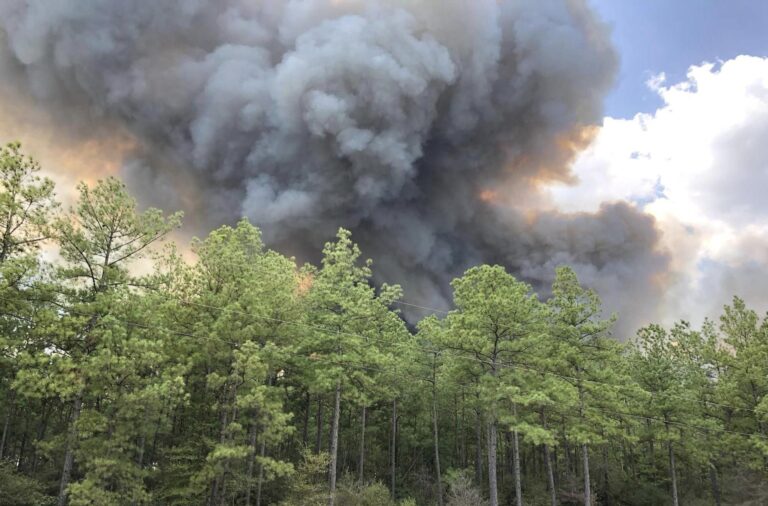 Firefighters making strides in containing 4,400-acre Game Preserve fire in Walker County