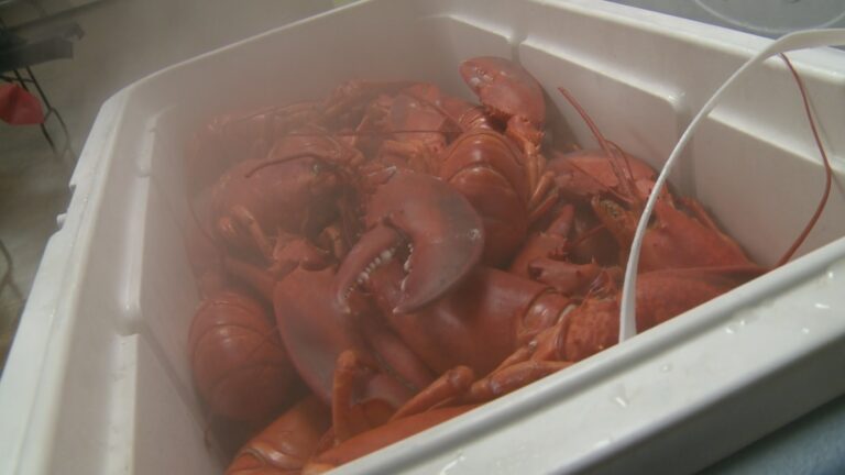 Lobsterfest will be in full swing on Friday in Bryan