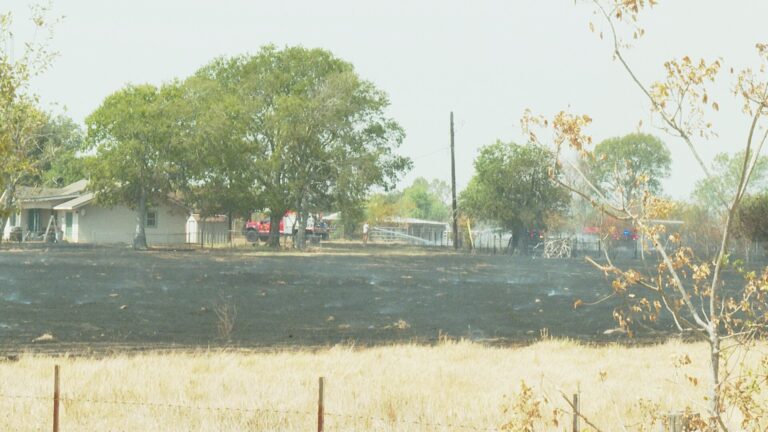 Quick response by firefighters, forest service saves several Brazos County structures