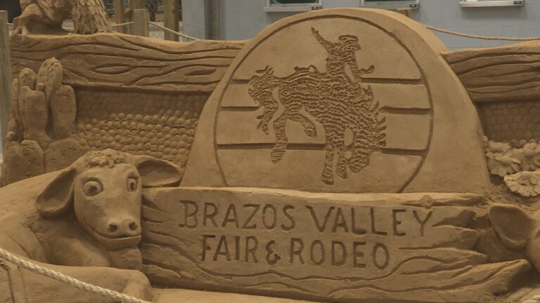 Brazos Valley Fair and Rodeo begin ticket sales