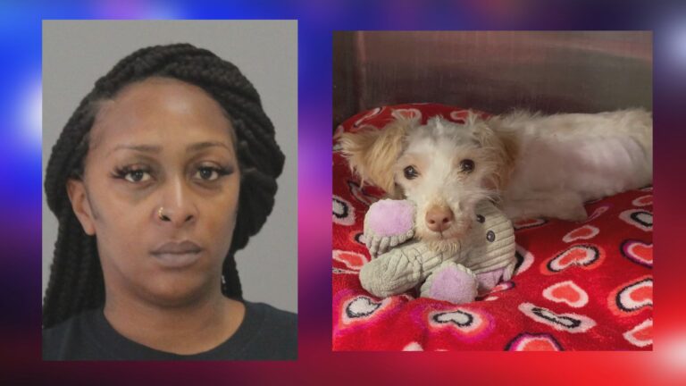 College Station police announce arrest in animal cruelty case