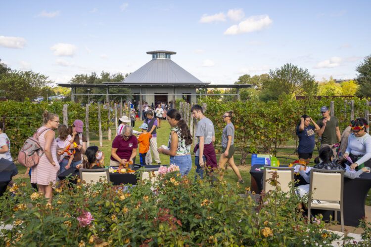 Weekend Gardener: The Gardens Fall Festival