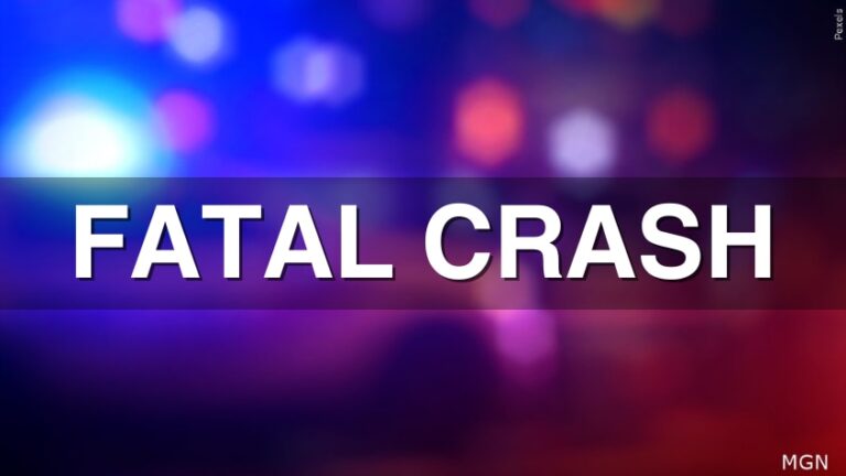 Teenager killed in fatal crash in Walker County