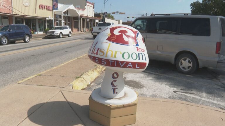 Madisonville to host annual Mushroom Festival