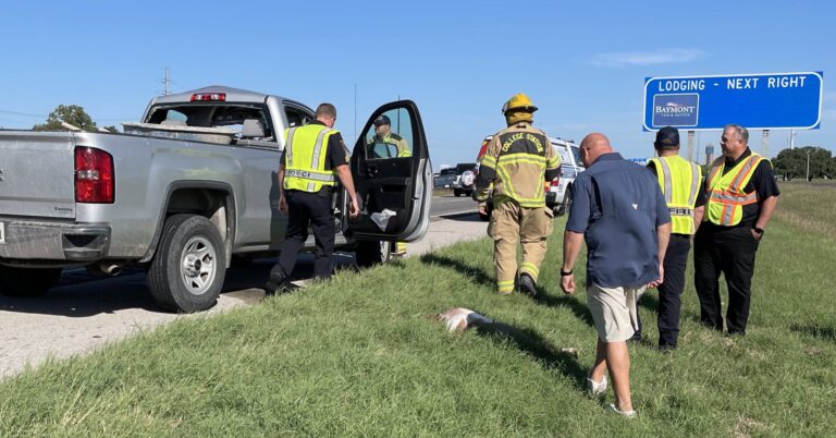 Deer vs. truck crash shuts down lane of Highway 6