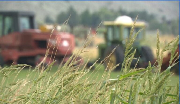 Burleson County to host Central Texas Ranch Gathering