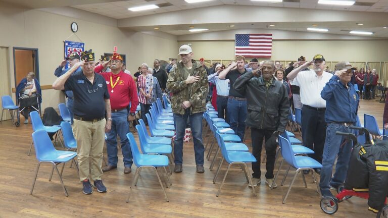 Veterans Day ceremony held in Bryan to honor those who have served in the armed forces.