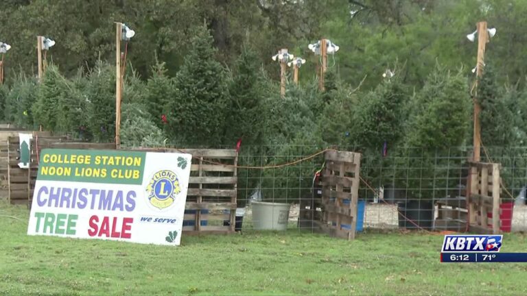 College Station Noon Lions Club prepare for Christmas tree sale