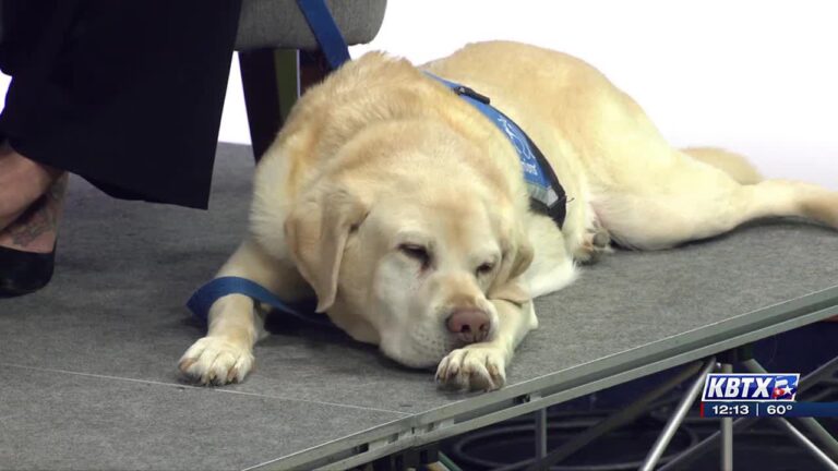 Scotty’s House Facility Dog lends a paw in court