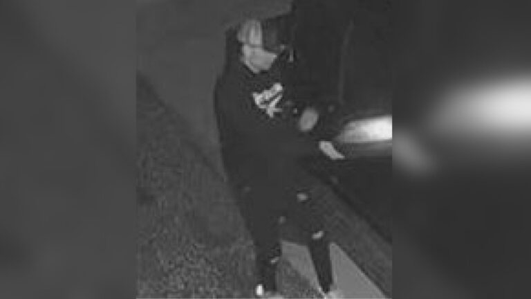 Brenham Police searching for suspect in vehicle burglaries