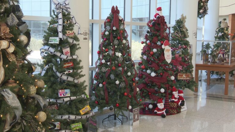 St. Joseph Health organizes Christmas tree auction