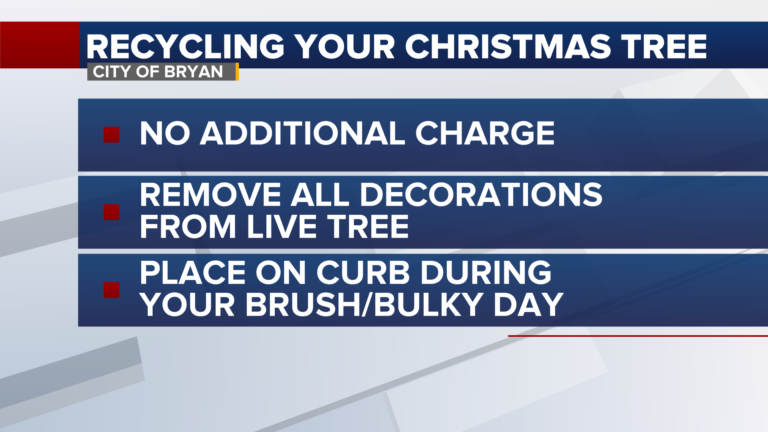 How to safely recycle your Christmas tree