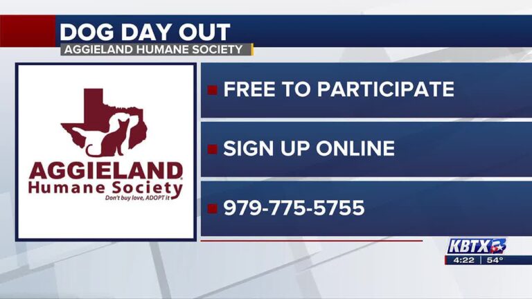 Take a dog for the day with new program from Aggieland Humane Society