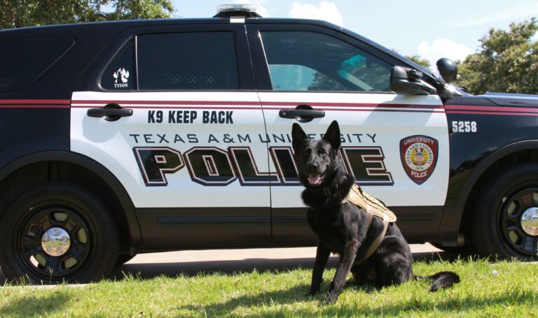 Retired Texas A&M police K9 passes away