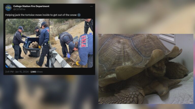 Firefighters help move resident inside during cold snap