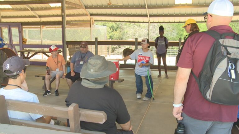 Camp For All leaders share ways to create more accessibility, inclusivity