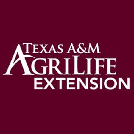 Texas A&M Agrilife Extension offers free life skills classes