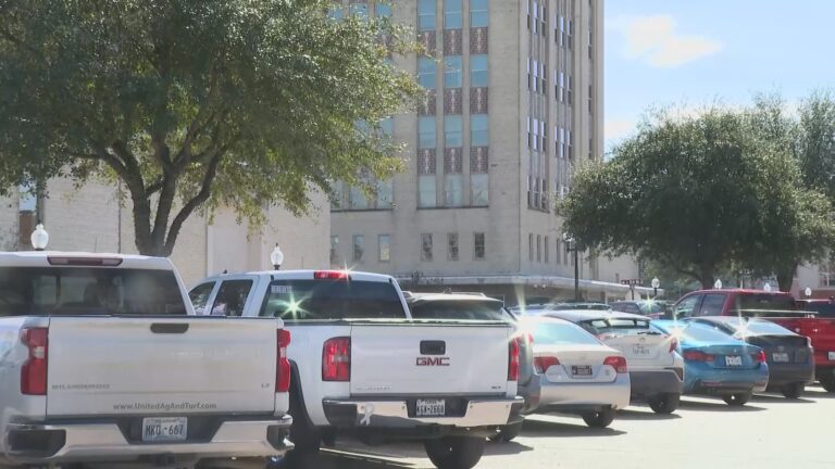 Bryan Mayor appoints committee to address downtown parking issues