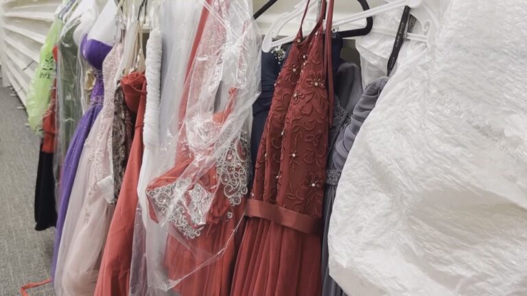 Score a free prom dress from the Princess Project