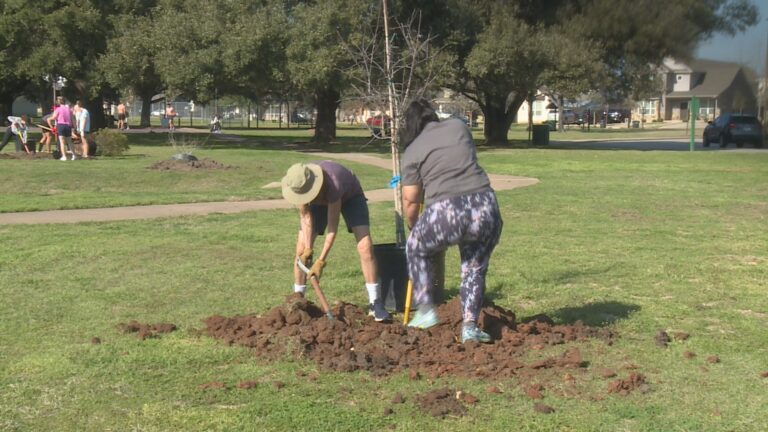 Volunteers gather at Tarrow park to plant trees