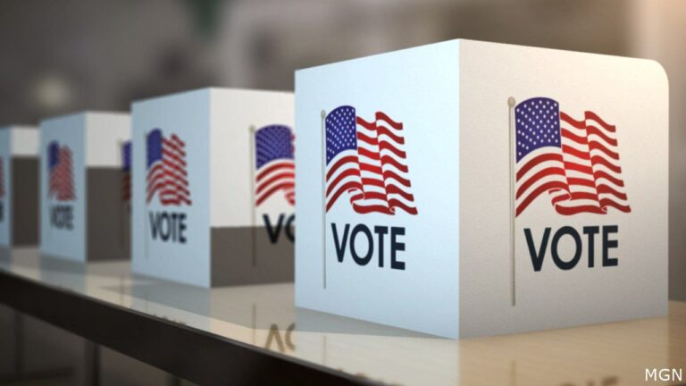 Your Vote Counts 2024: Primary Election voting guide