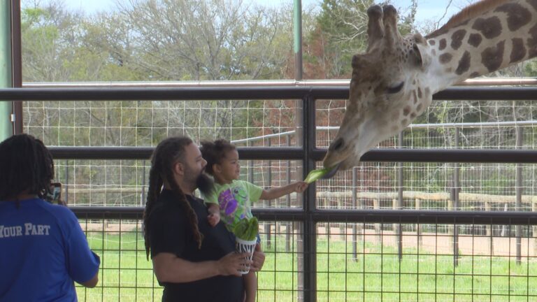 Aggieland Safari showcasing new exhibits for spring break