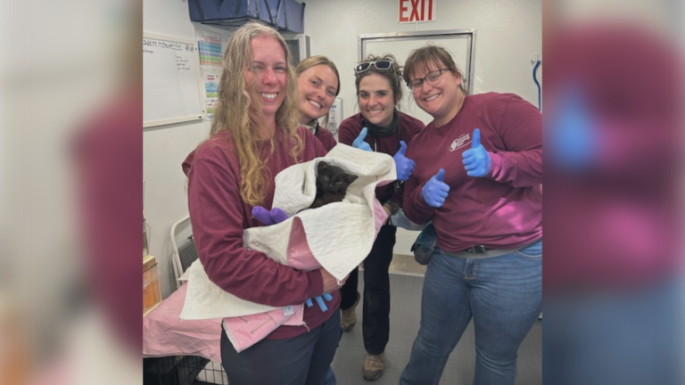 Texas A&M veterinarians return from Smokehouse Creek Fire deployment