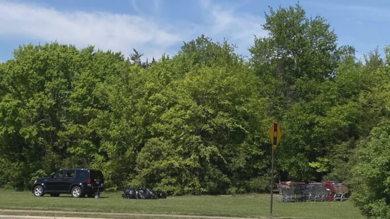 College Station code enforcement clears homeless encampment in Wolf Pen Creek area